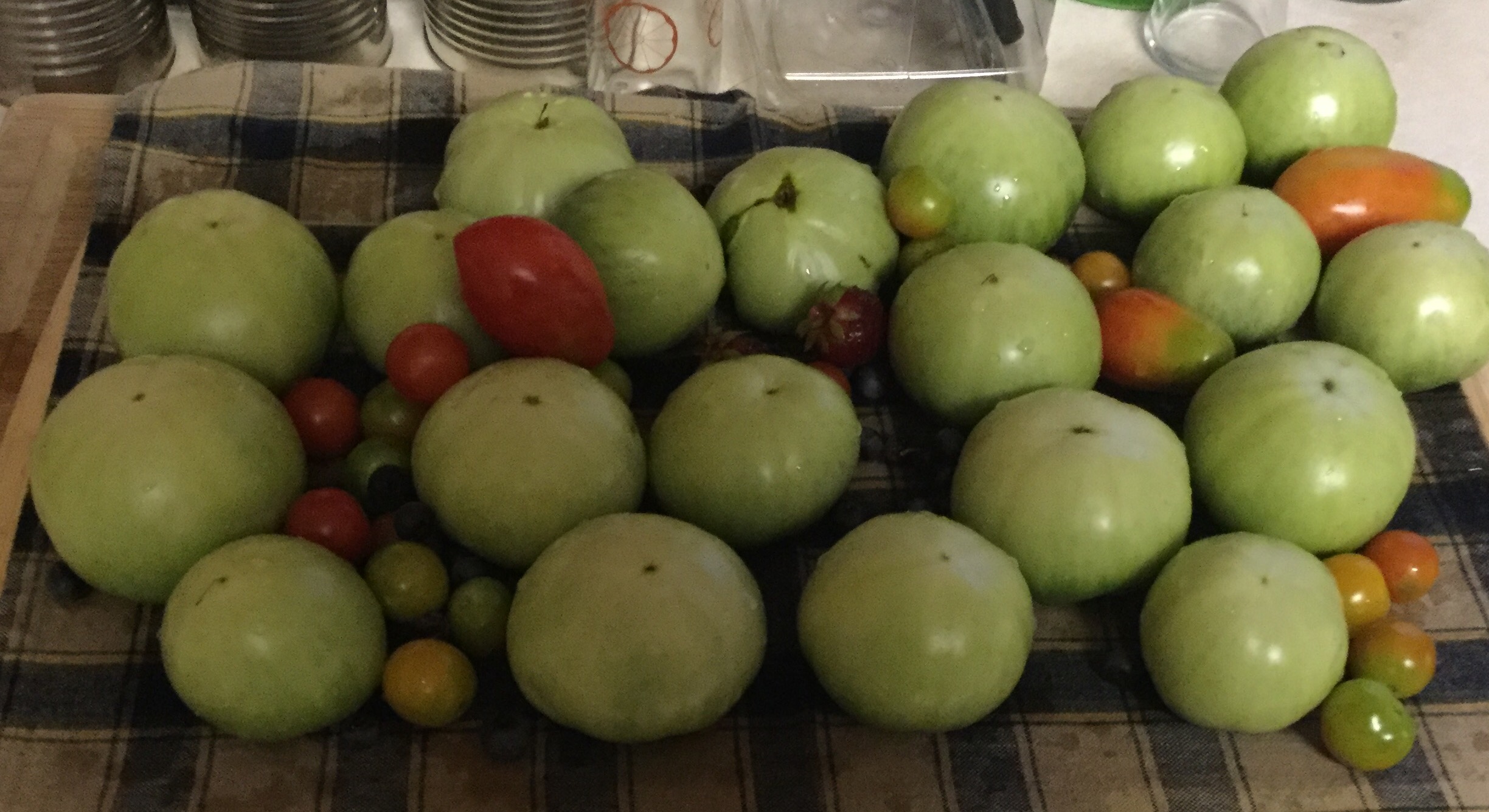 Sunday, July 3, 2016 – Today’s Pickings